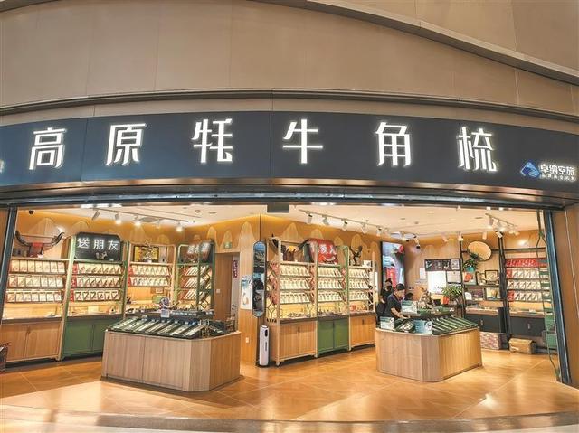 文旅为笔绘就融合画卷 航空为翼赋能经济腾飞
