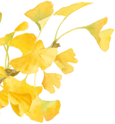 落叶基础，不“扫”兴的余杭就不基础