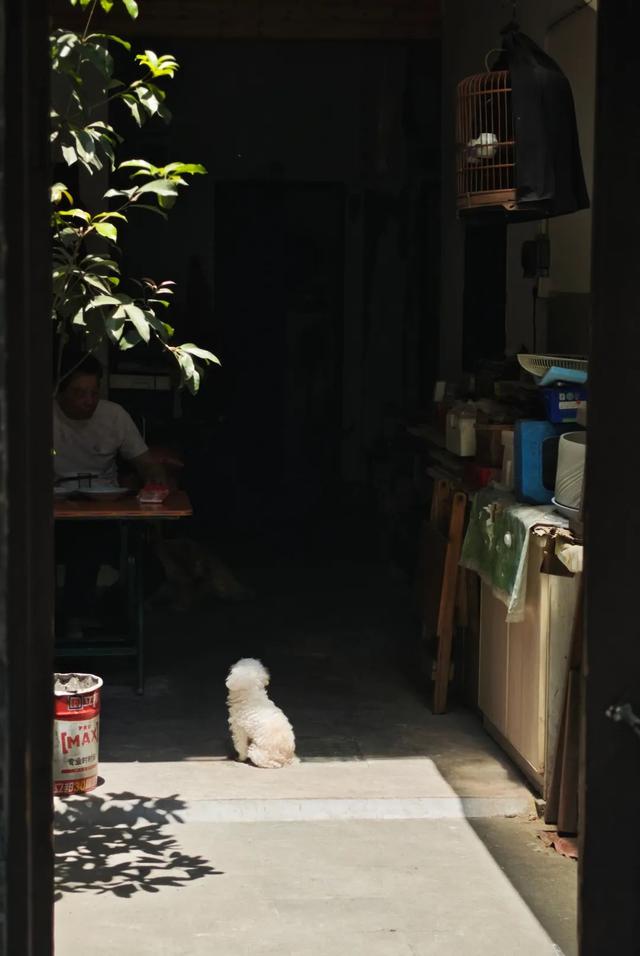 想搬去杭州了
