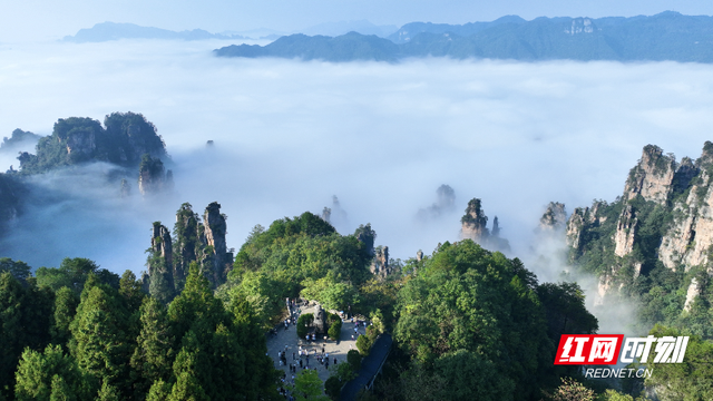 国庆游张家界|武陵源：云上奇峰天子山