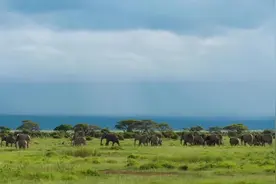 “精彩非洲”视听节目展播丨多哥宣传片图片
