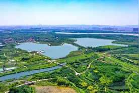 规划蓝绿空间占比超70% 推动全方位数字化转型 济南起步区智慧“云上新城”揭秘图片