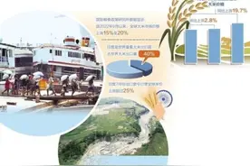 “大米出口禁令”引发全球粮价上涨图片