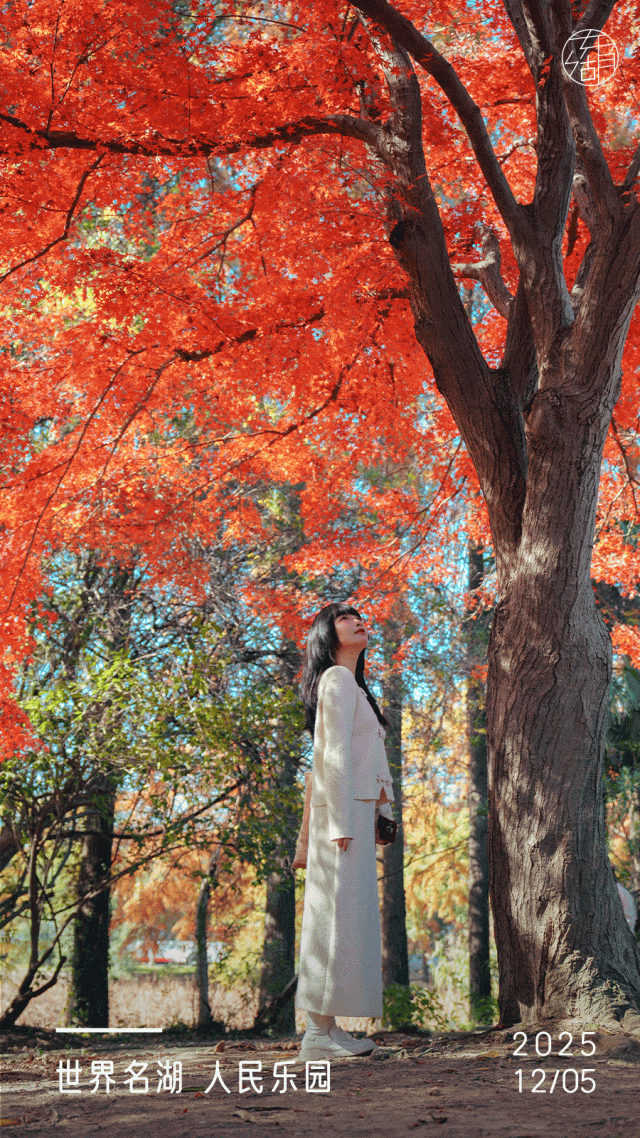 东湖这四处绝美秋景，出片率100%