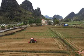 惊蛰将至劳作忙 不负农时不负春图片