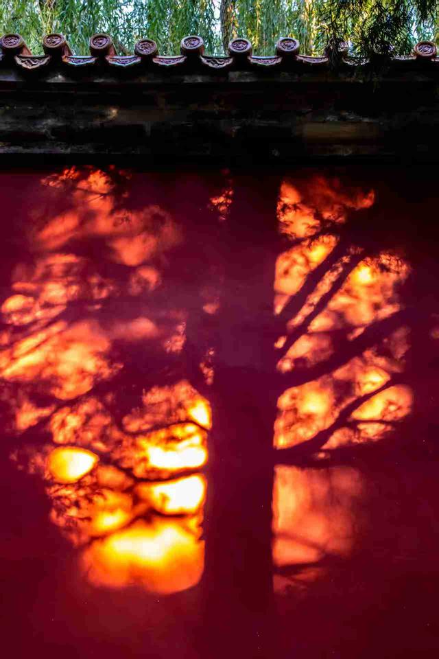 京城拍客今日精选｜深秋绿波暖 枫红衬晴空