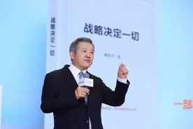 陈东升：战略决定一切图片