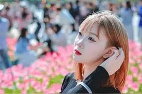 满屏高颜值！美丽绽放郁金香花海图片