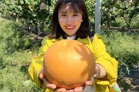 价格降了！一个重达两斤多！青岛人超爱的它正大量上市……图片