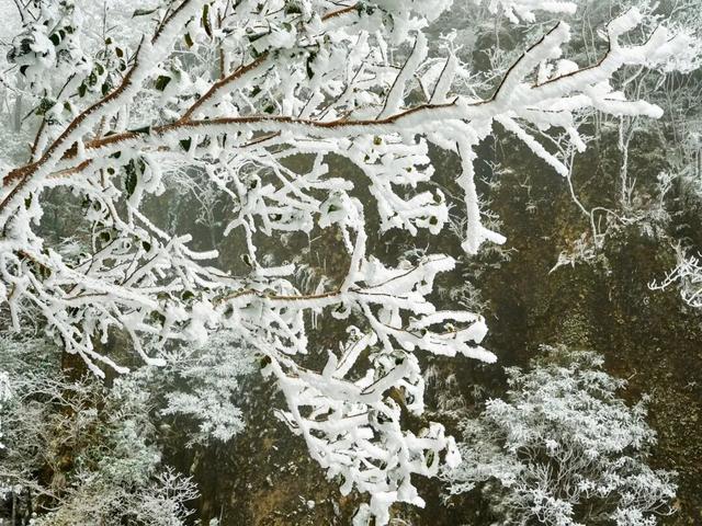 羊狮慕雪国仙境已上线｜大雪持续中，快来福山赏雪！