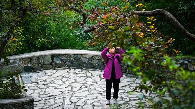 香山不止有红叶！香山公园推荐“慢游览”黄金路线