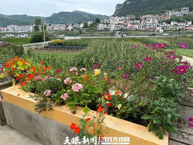 【绿色发展】凉都民宿火  “夏日村民”涌——六盘水三岔河畔避暑游客一床难求