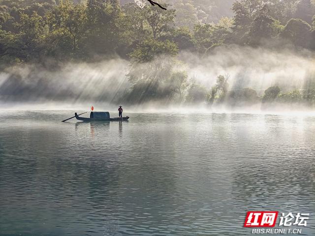 【每日一图@湖南】未醒的天，轻纱般的雾，温柔了整条资兴小东江