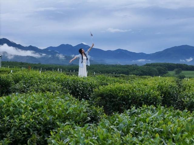 白沙喜提国家2A级旅游景区，陨石坑生态茶园+集市周末联动玩法请收藏！