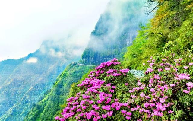 全球出圈‼️双奖加身‼️厉害了瓦屋山！