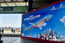 “疯狂动物城”主题彩绘航班首航！东航与上海迪士尼联手抢客图片