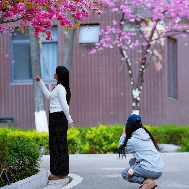 云南的大学有多美！一起来打卡嵩明职教新城樱花盛景
