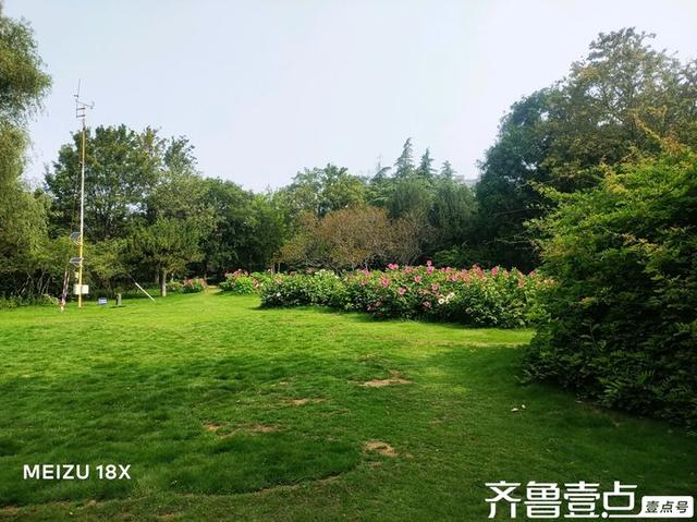 壹点号·秀山东|森林公园的荷花，千朵万朵压枝低