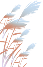 遇见丨开福·逛三园：我在「鸭嘴公园」好快乐鸭！