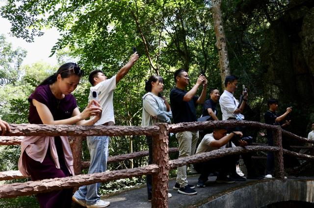 崇义“阳明圣地的宝藏图鉴”怎么样？来看网络达人们的亲身感受……
