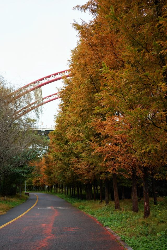 【天眼影像】来七星关拍冬日氛围感美照