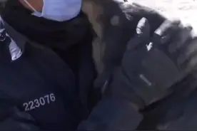 暖心！地震中被困6天的小狗 一瞬间认出救命恩人图片