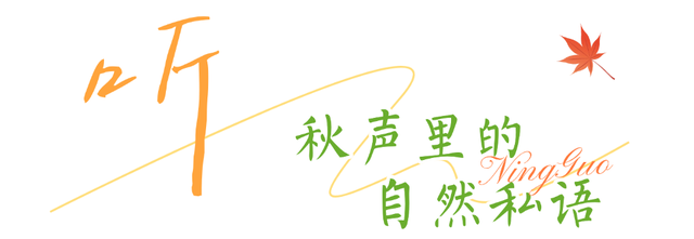 宁国的秋冬，藏着N种让人心动的打开方式