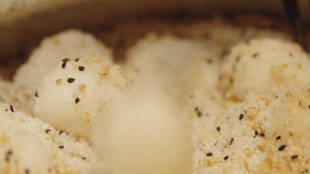 Yeah！生活丨有点后悔，现在才去赣州！