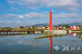 钟祥市冷水镇：坚持“四治两化” 全域推进“擦亮小城镇”建设图片
