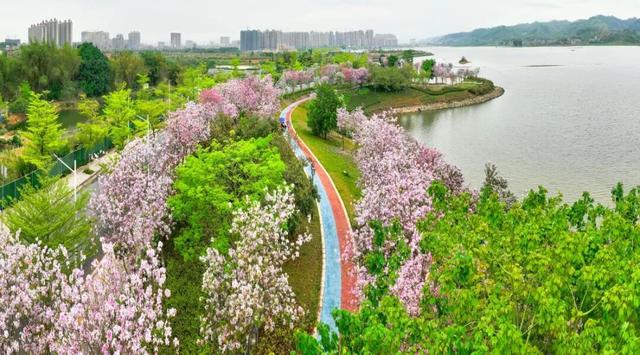 放假恢复元气的秘诀在此！广西发布7条国庆假期户外运动精品线路