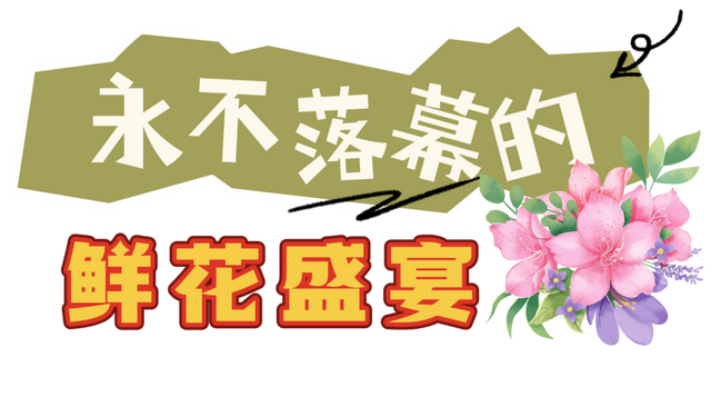 常州，又开始涨“粉”了！