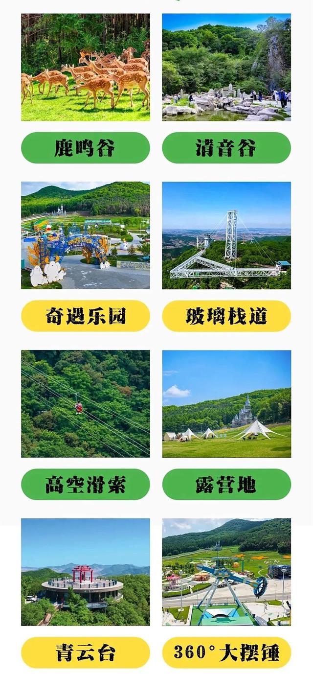 “奇幻动物城”上线！森林巡游、萌宠互动、气模打卡……欢乐不停歇！