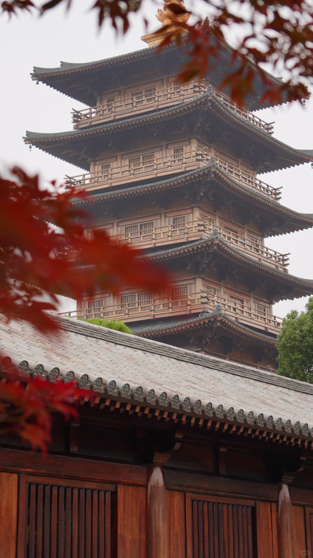 枫叶红了！上海这座古建筑，竟然能一秒穿越回大唐→