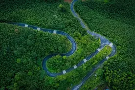 一根苦竹 吹出甜甜的共富梦图片