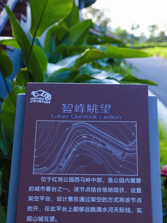 新晋网红公园来了！出片率超高！