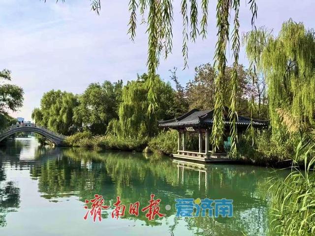 一年四季 泉在济南丨秋染大明湖：天蓝水碧绘就泉城诗意画卷