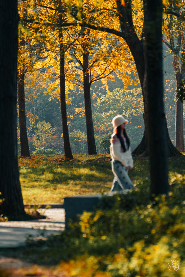 天晴了，去落雁过秋天！