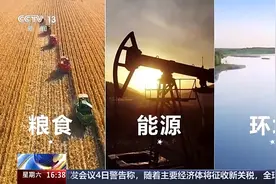 藻类造影+稻米造血 武汉生物制造开启未来产业新图景图片