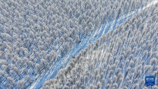 冬日塞罕坝 风景美如画