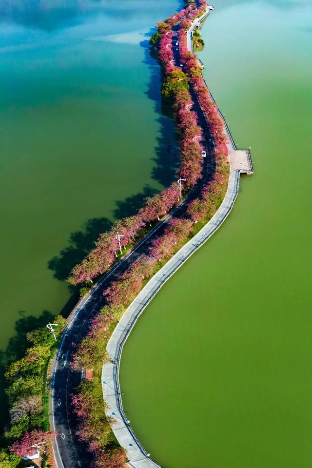 星湖秋冬推介会亮相！深圳、香港市民纷纷点赞