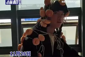 男子变身面包侠去喂海鸥：只有勇敢的海鸥才能吃饱图片