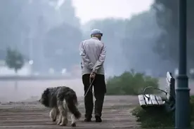 果然播客｜司民：老人和狗 （1）图片