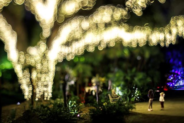 （外代二线）“夜间公园”灯光秀