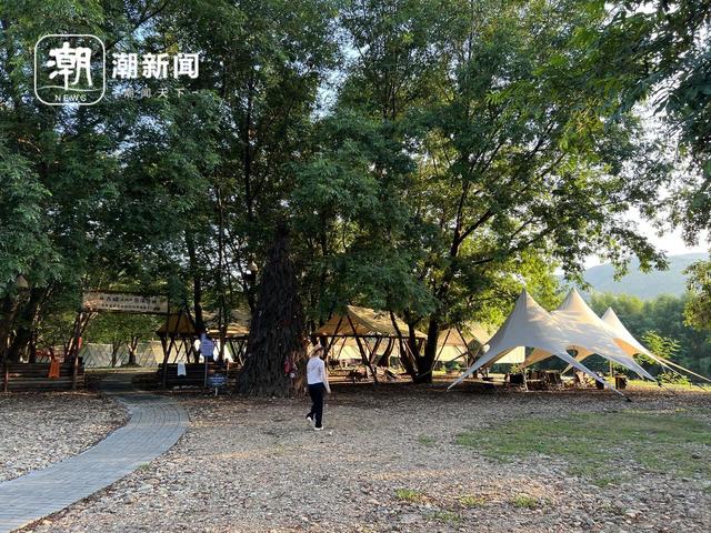 遇见小古城丨大樟树下“议”出农文旅融合新范式