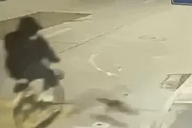 上海小伙骑车上班被猫撞飞：手臂骨折、门牙脱落……该找谁索赔？图片