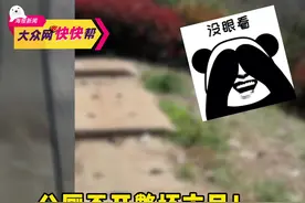 大众网快快帮 | “公厕”紧锁 市民方便不“方便” 记者实地探访图片