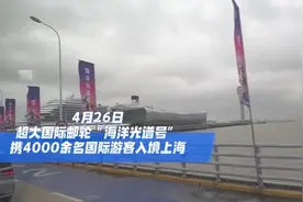 美国夫妻上海旅游纪念结婚四十年，4000多名国际游客抵沪，上海迎“五一”前最大入境旅游团图片