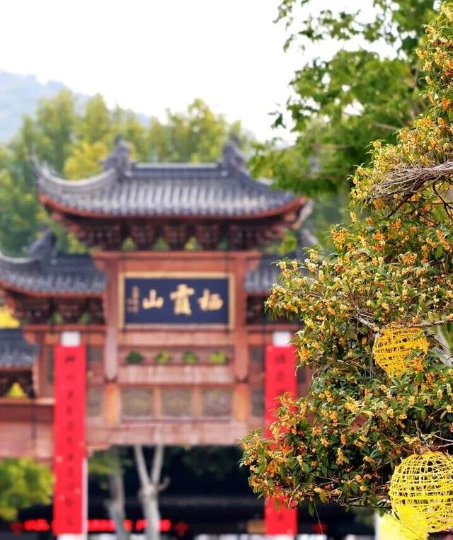 10月29日栖霞山免费吗？回答来啦！