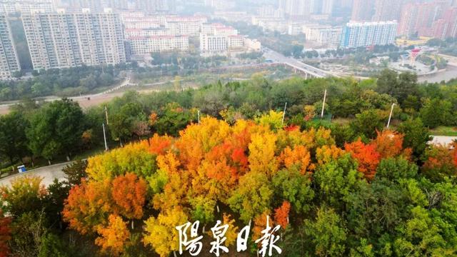 打卡指南！阳泉这些公园美成童话世界！