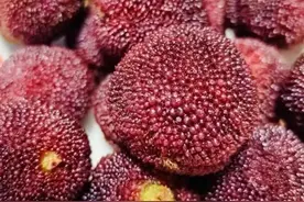 梅雨时节杨梅大量上市，科学食用更健康图片